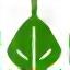 Leaf icon for Leave No Trace